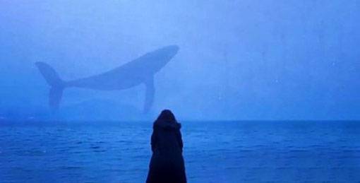 Oynayan çocukları intihara sürükleyen ve tüm dünyada büyük tepki toplayan