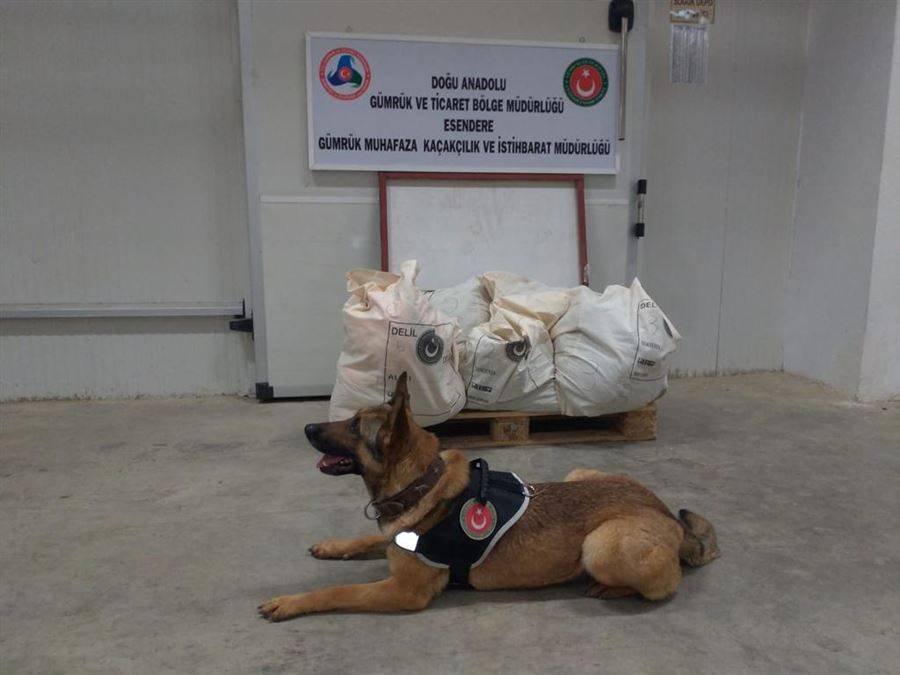 Dedektör Köpeği ile Yapılan Aramada 221 Kilogram Patlayıcı Madde Ele Geçirdi Ticaret Bakanlığı Gümrük Muhafaza ekiplerince Esendere Gümrük Kapısı Yolcu Salonunda