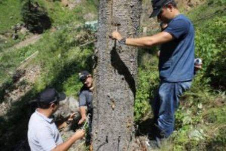 Orman Genel Müdürü Bekir Karacabey, twitter hesabından yaptığı açıklamada Remi