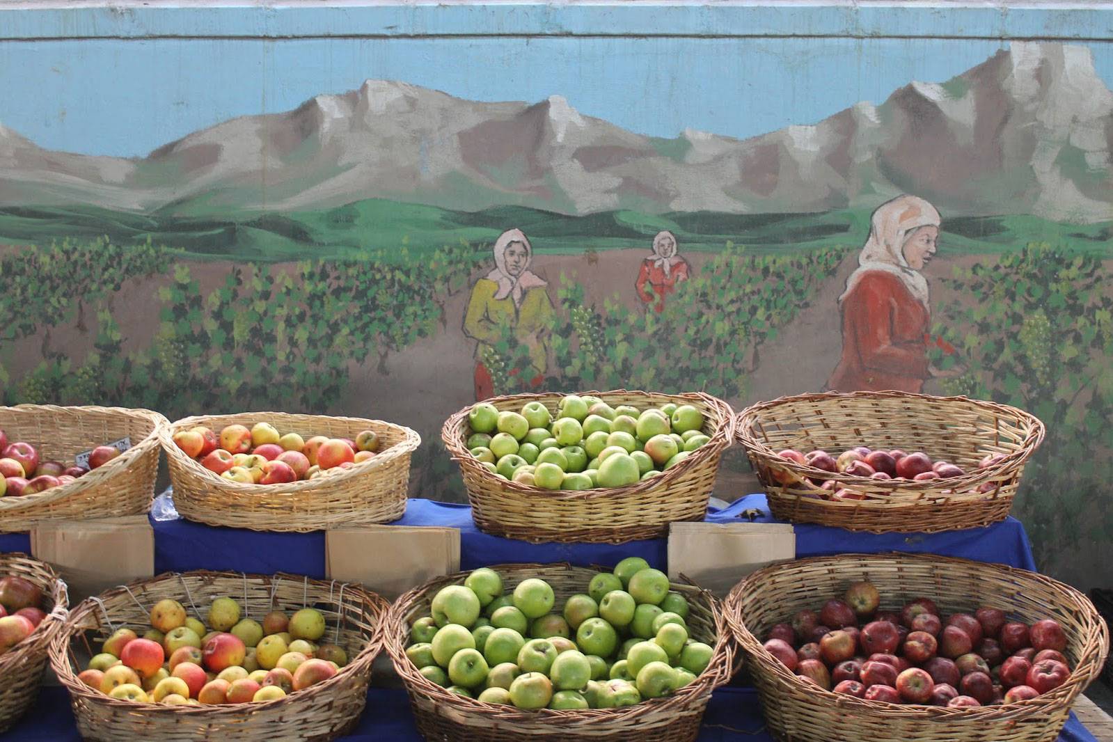 Zehirsiz Gıda İçin Harekete Geçtiler Buğday Ekolojik Yaşamı Destekleme Derneği olarak, pestisitlerden(tarım ilacı) arınmış ‘Zehirsiz