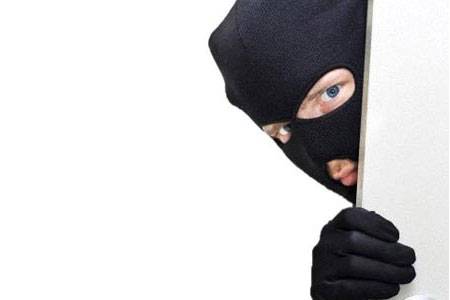 İçişleri Bakanlığı, hırsızlık, kapkaç, otodan hırsızlık gibi mal varlığına karşı