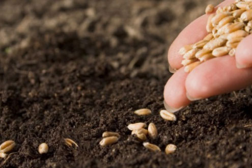 Tohum Sanayicileri ve Üreticileri Alt Birliği (TSÜAB); Türkiye Tohumcular Birliği