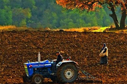 Tarım ürünleri fiyat artışları devam edecek mi? Üretici, tüketici, tüccar,