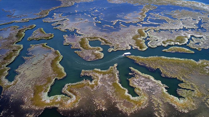 Türkiye ve içinde bulunduğu bölgenin ekosistem bütünlüğü ile biyolojik çeşitliliğinin