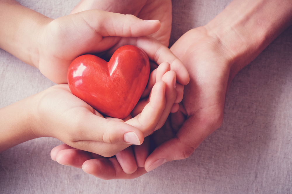 Kalp Damarları Biyoadaptör Teknolojisi İle Konforla Açılıyor