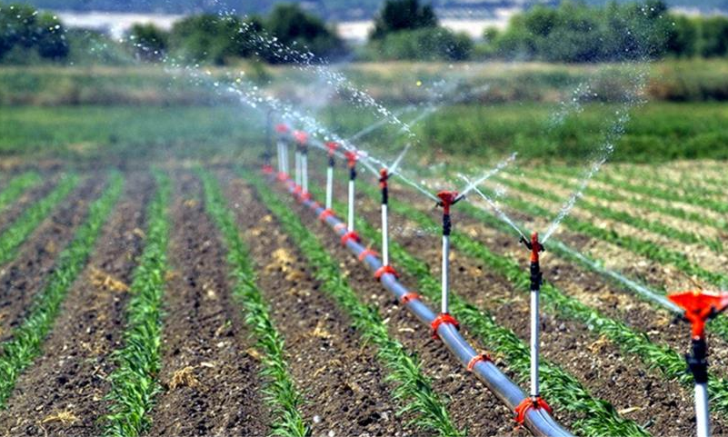 Bu Araziler Ülke Ekonomisine 1.9 Milyar Katkı Sağlayacak Tarım ve Orman Bakanlığı Devlet Su İşleri (DSİ) Genel Müdürlüğü