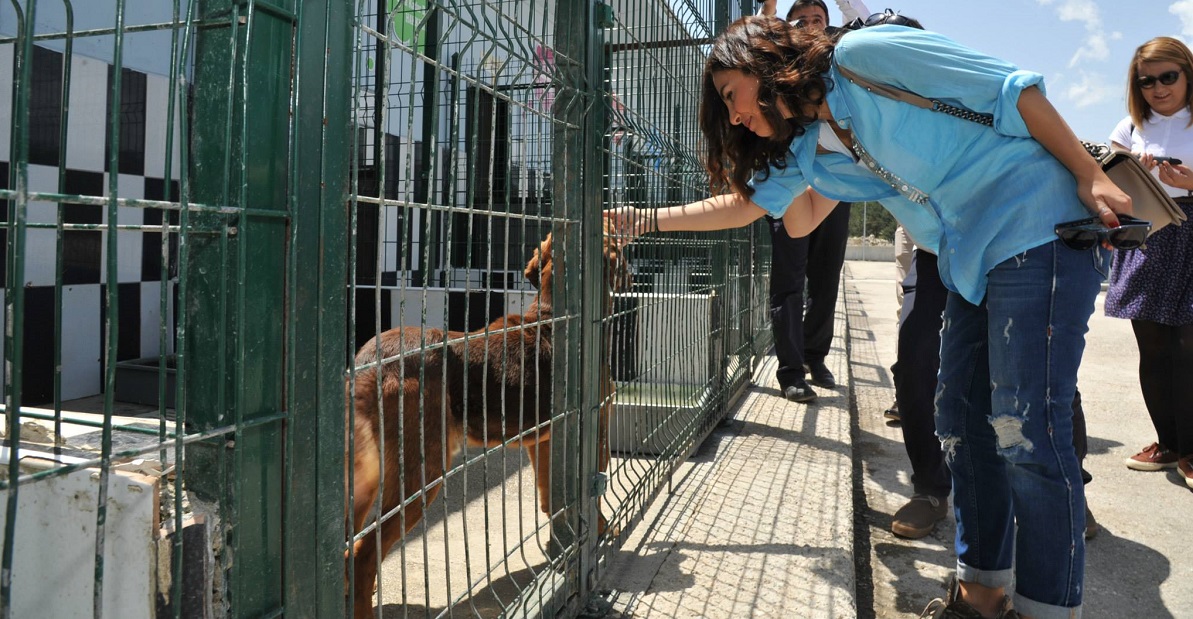 HAYTAP (Hayvan Hakları Federasyonu) Kastamonu Geçici Hayvan Bakım Evi’ne konuk
