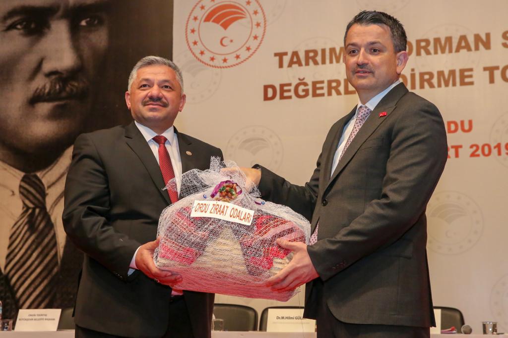 TMO Fındık Alımlarına Başlıyor TMO Çarşamba günü Ordu’nun Ünye İlçesi’nde fındık alımlarına başlıyor. Toprak