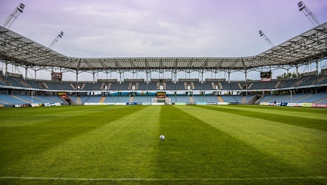 Türkiye Futbol Federasyonu (TFF) Hukuk Müşavirliği tarafından, Profesyonel Futbol Disiplin