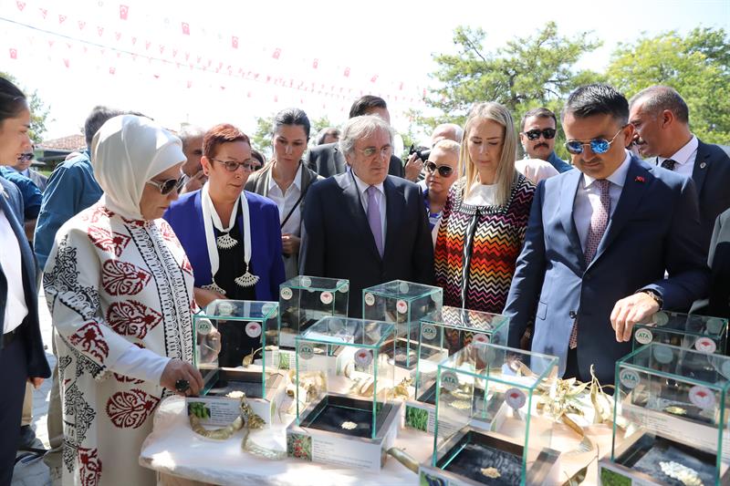 Cumhurbaşkanı Recep Tayyip Erdoğan’ın eşi Emine Erdoğan’ın öncülüğünde, 2017 yılında