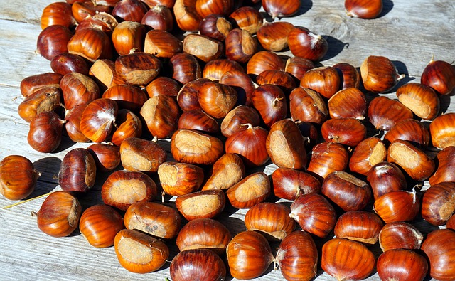 Kestane Her Derde Deva Lif, mineral ve vitamin açısından kestanenin oldukça zengin olduğunu ve