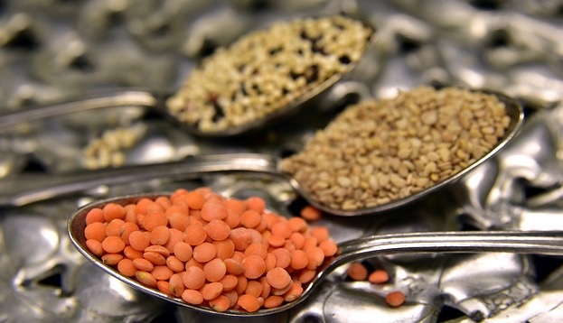 Tarım ve Orman Bakanlığı, Güneydoğu Anadolu Bölgesi’nde yaygın olan mercimek