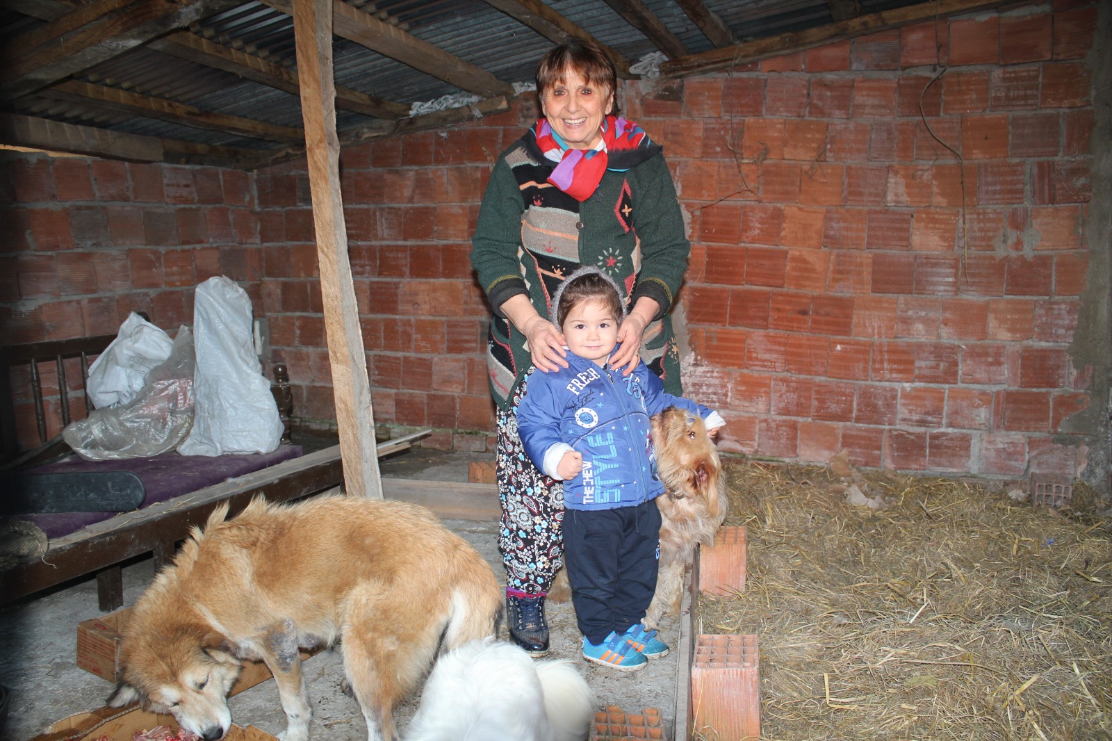Bir Zamanlar Korktuğu Hayvanları Şimdi Sahipleniyor Ordu’nun Ünye ilçesinde yaşayan Nihal Üçok hayvan sevgisi ile dikkat