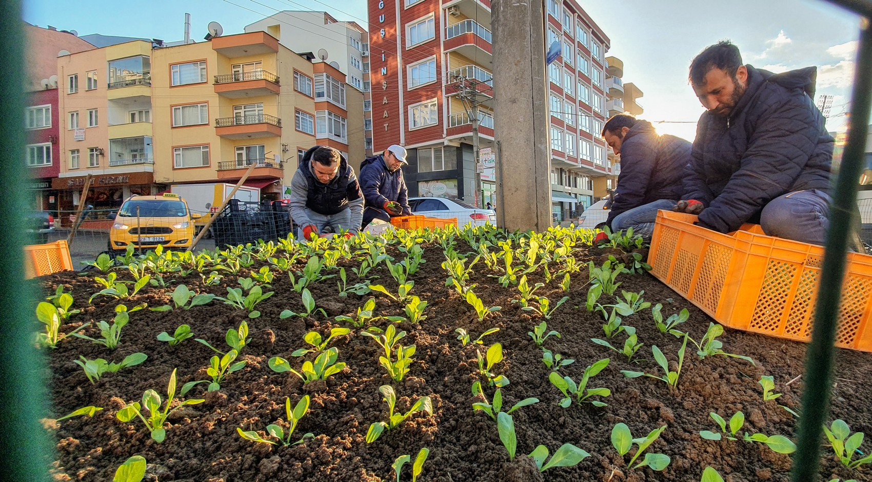 Giresun Belediyesinde birimlerdeki çalışmalar aralıksız devam ediyor. Bu anlamda Park ve