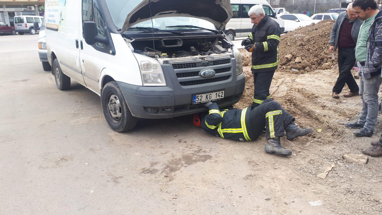 Motora Sıkışan Kedi Kurtarıldı Ordu’nun Fatsa ilçesinde park halindeki aracın motor bölümüne sıkışan kedi,