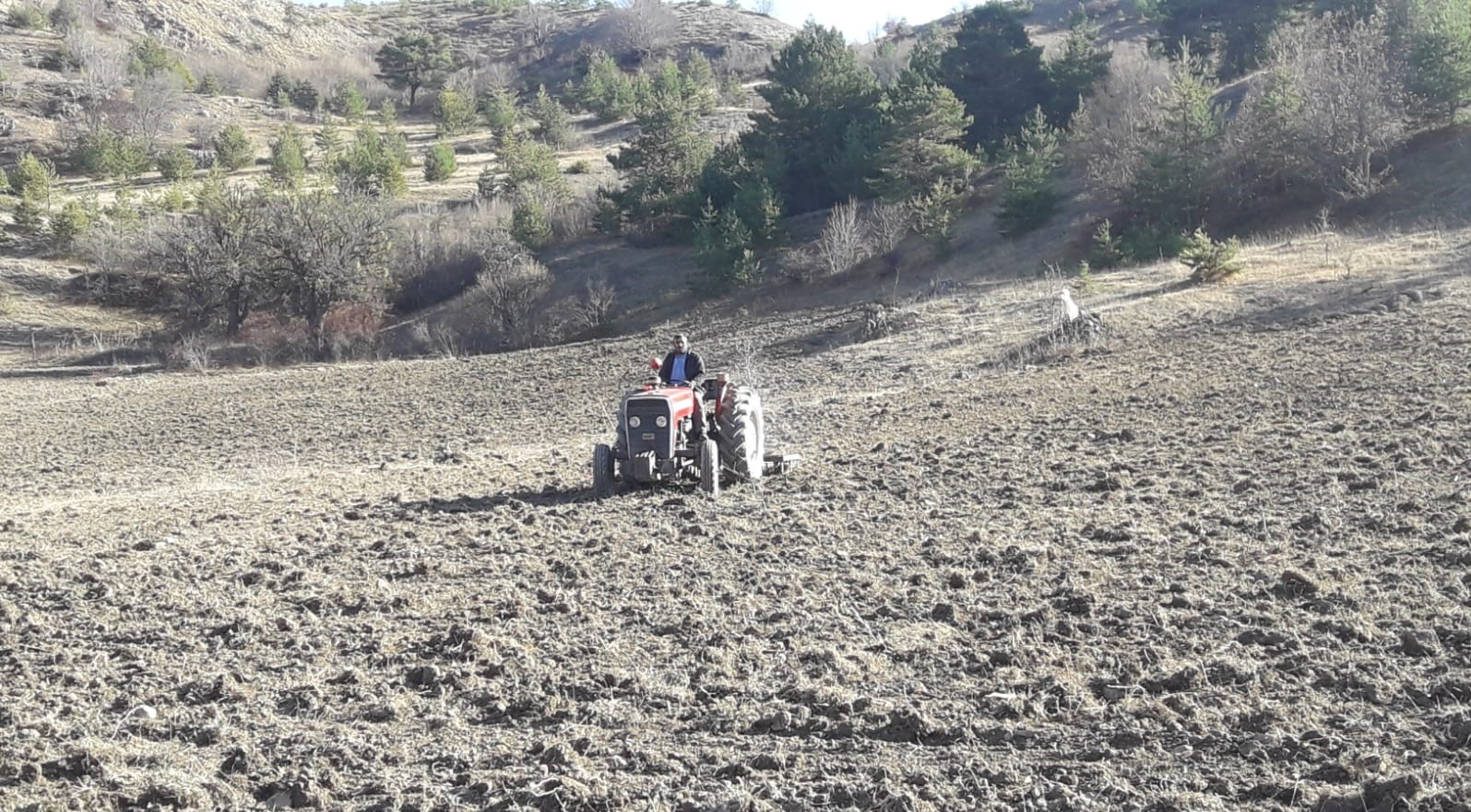 Ordu Büyükşehir Belediyesi ve Ordu İl Tarım ve Orman Müdürlüğü