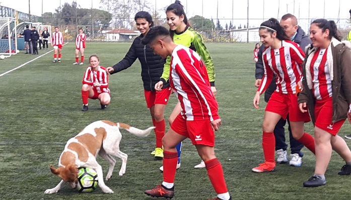 Manisa’da Kadınlar 3. Liginde maç oynanırken sahaya giren köpek, hem