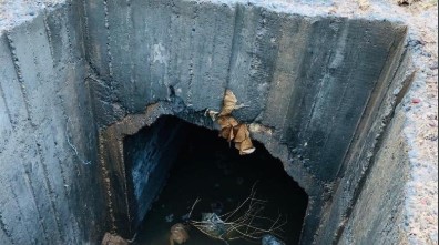 Terör Örgütüne Ait Tüneller Etkisiz Hale Getirildi Milli Savunma Bakanlığı’ndan yapılan açıklamada, Barış Pınarı bölgesinde arama-tarama faaliyetlerine