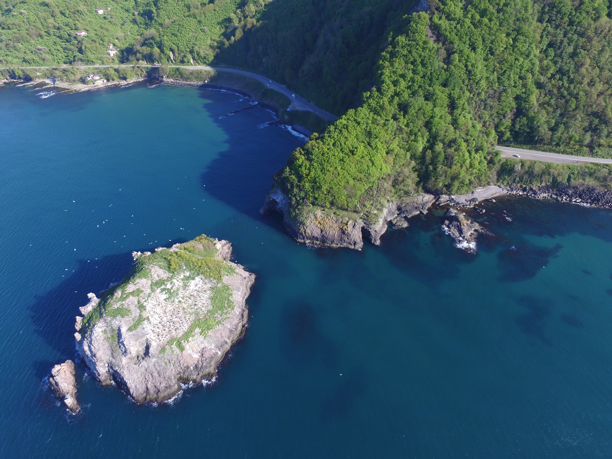 Büyükşehir Belediyesi, Tepeli Karabatakların Türkiye’de yuva yaptığı tek yer olarak