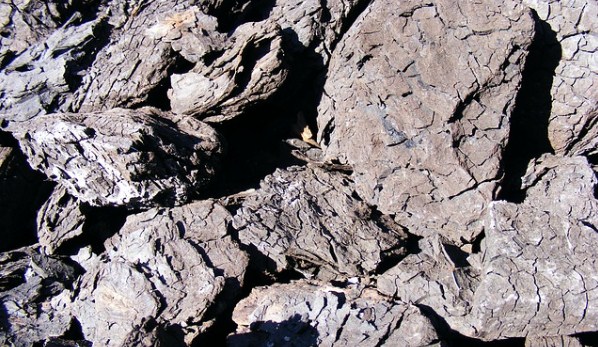 Linyit Üretimi Azaldı Türkiye İstatistik Kurumu (TÜİK), Linyit Üretimi raporunu açıkladı. Buna göre