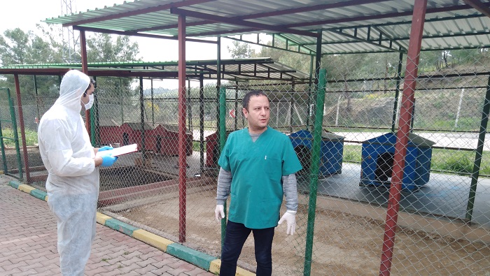 Bakımevlerindeki Sokak Hayvanları İçin Düğmeye Basıldı Koronavirüs salgınına karşı büyük bir titizlikle birçok tedbiri hayata geçiren