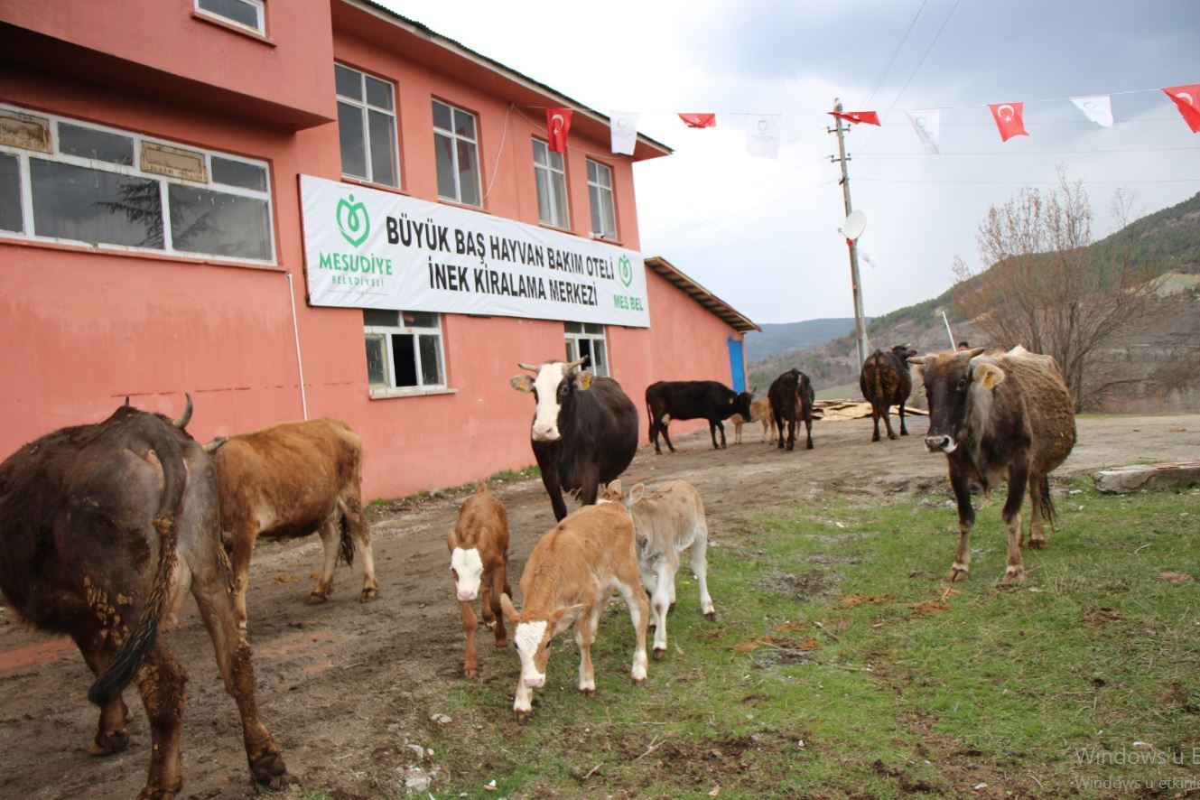 Ordu Büyükşehir Belediye Başkanı Dr. Mehmet Hilmi Güler’in talimatları ile