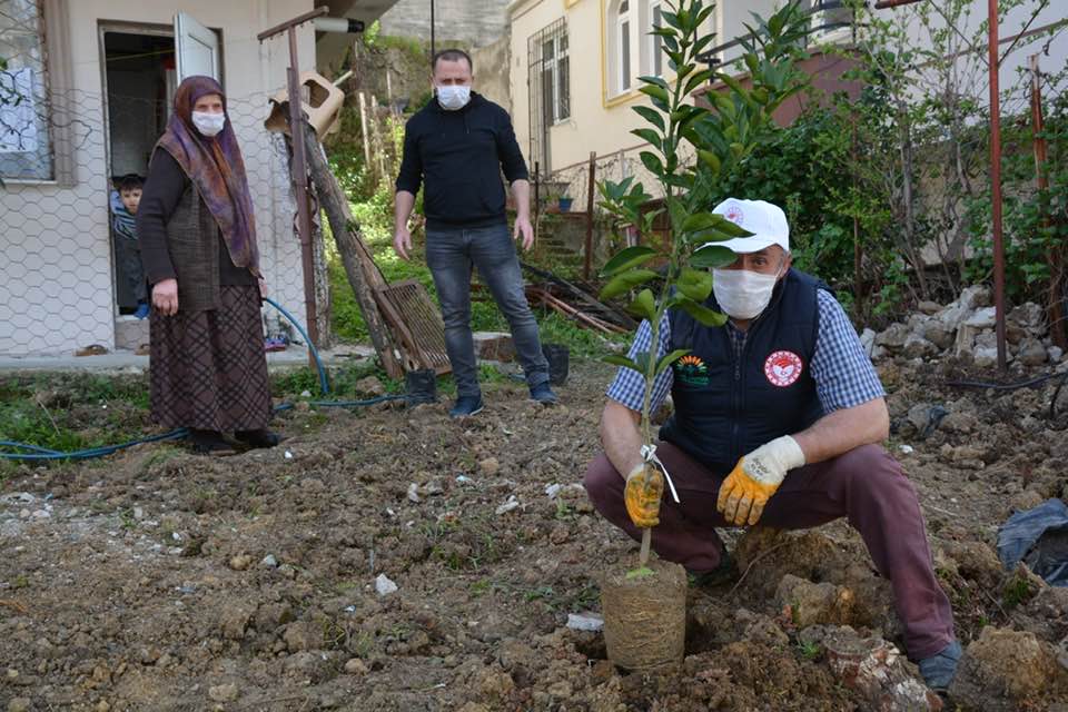 Ordu’da 71 yaşındaki Enise Teyze’nin fidan dikme isteği yetkililer tarından