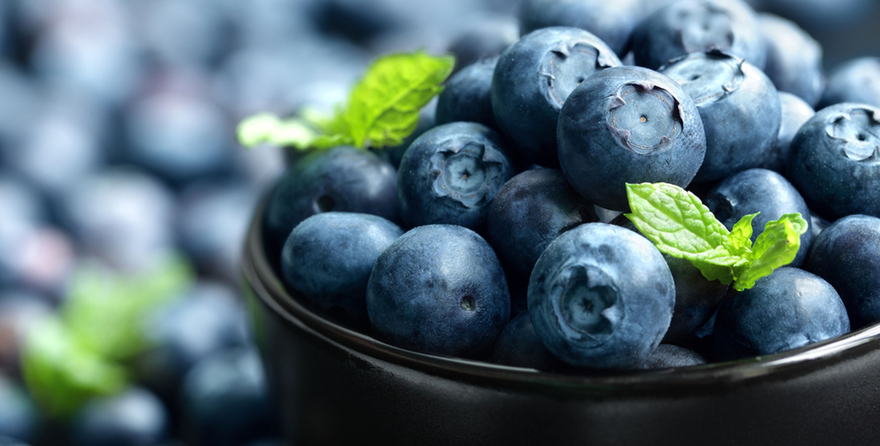 Yaz Mucizesi: Mavi-Mor Meyveler Rengarenk yaz meyvelerinden mavi-mor renkli meyveler hem sağlığa faydaları hem