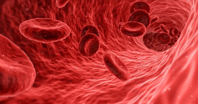 Anemi Hastalığına Dikkat Hematoloji Uzmanı Doç. Dr. Mehmet Hilmi Doğu anemiye neden olabilecek