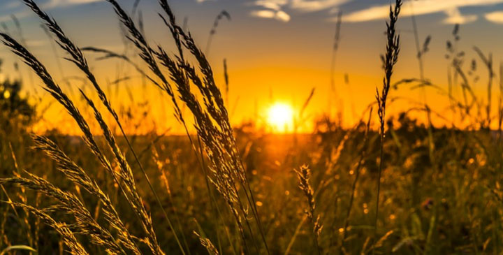 Tarım ve Orman Bakanı Dr. Bekir Pakdemirli, son 2,5 yılda