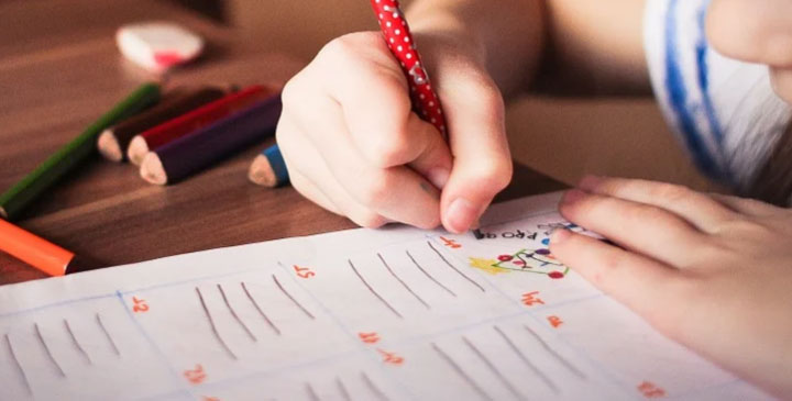 Eğitim-Sen Genel Başkanı Prof. Dr. Nejla Kurul, Milli Eğitim Bakanı