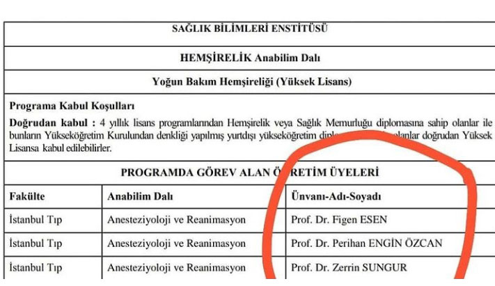 Türkiye Hemşireler Derneği, hemşireler ile ilgili bir üniversite programında akademisyen