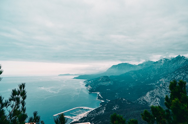 Türkiye İstatistik kurumu (TÜİK)in verilerine göre Turizm gelirleri 2020 yılının