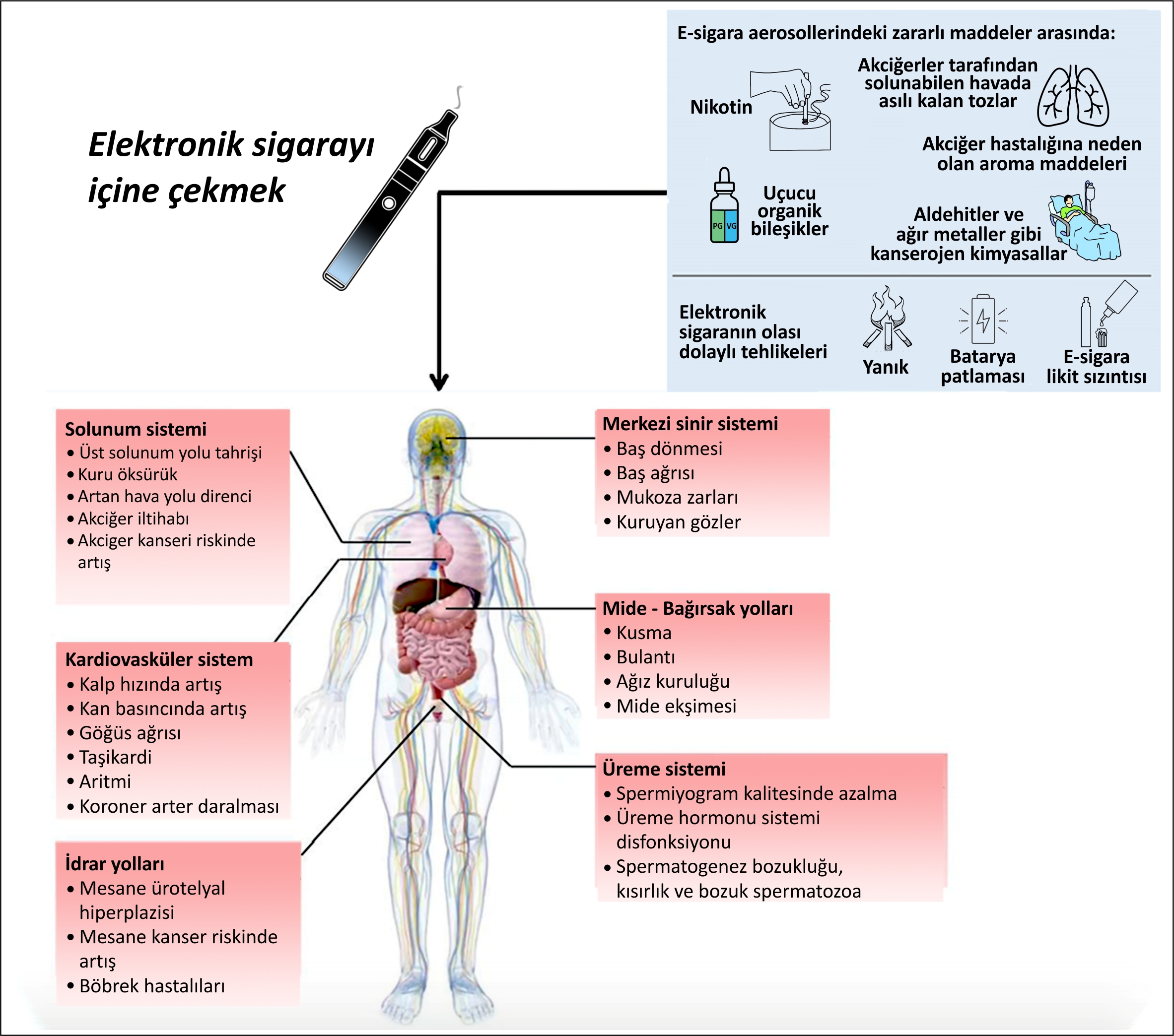 ”Tütünün Her Türü Öldürür” Tütün karşıtı önemli çalışmalara imza atan Sağlığa Evet Derneği “Halkımıza