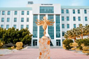 Dünyadaki tıp fakültesi öğrencileri, Yakın Doğu Üniversitesi Tıp Fakültesi öğrencilerinin