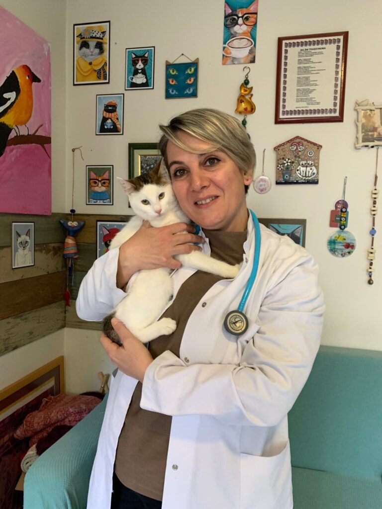 Evcil Hayvan Maması Alırken Dikkat!