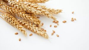 Glutensiz gıda markası Schär, Çölyak hastaları ve gluten hassasiyeti olanlar