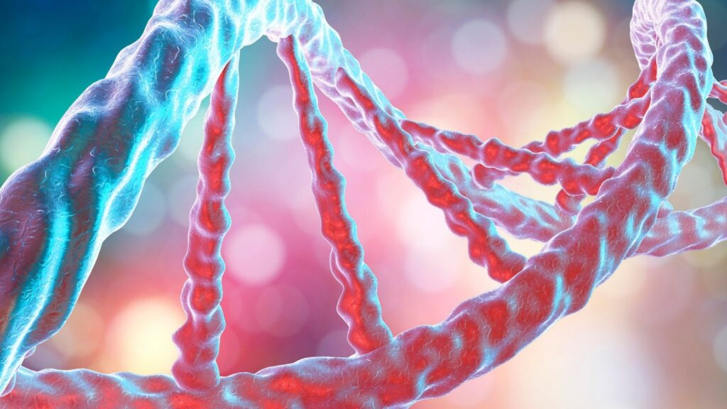 Besin İhtiyacımızı DNA Yapımız Belirliyor