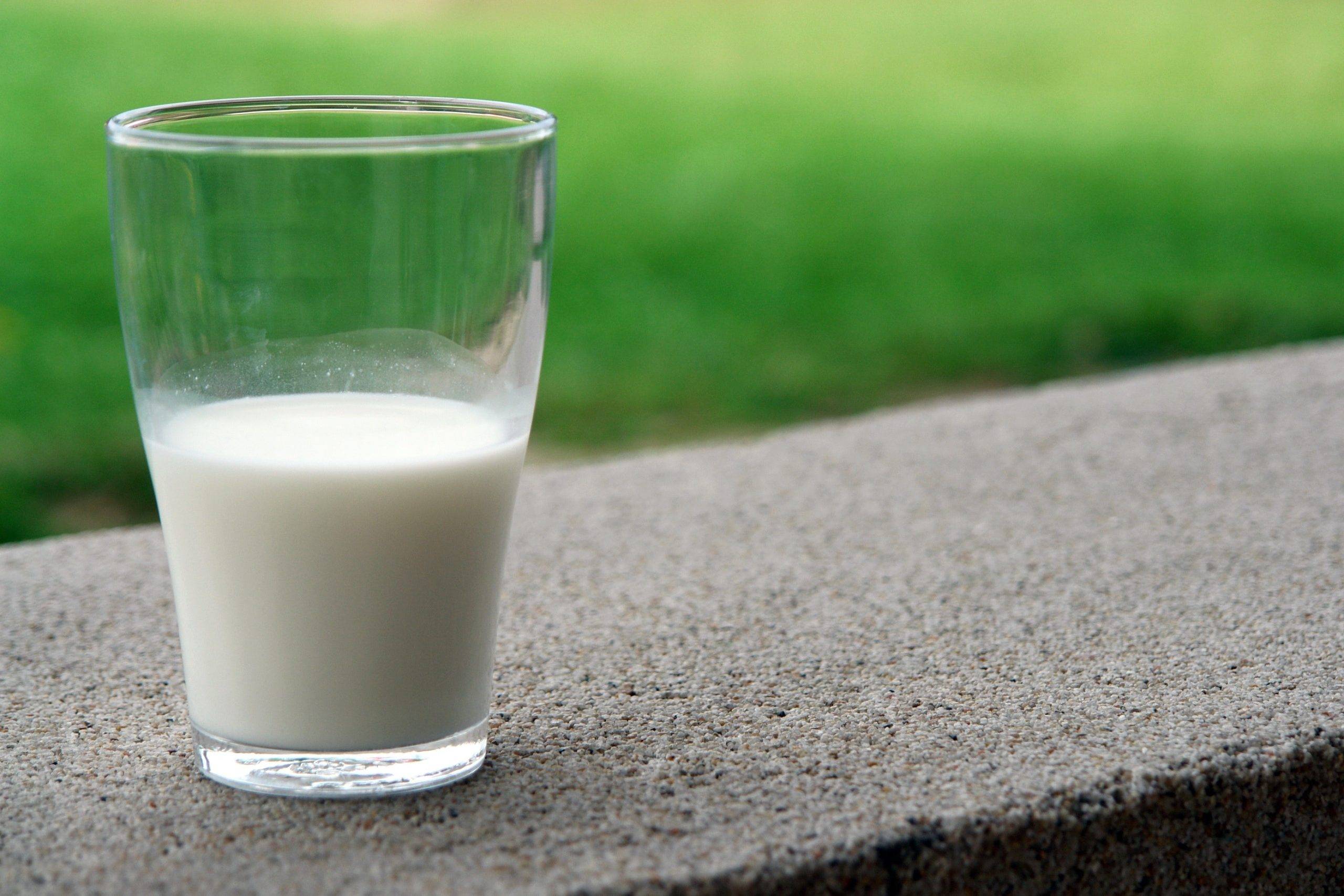 Yetişkinler Günde Üç Porsiyon Süt Tüketmeli