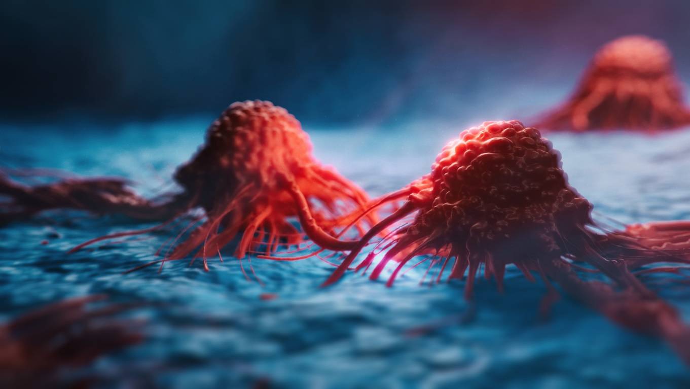 Türk Bilim İnsanları, Karaciğer Kanseri Tedavisinde Etkili Olan Yeni Bir Molekül Belirledi