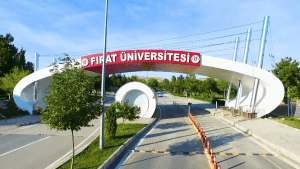 Elazığ’da bulunan Fırat Üniversitesi Sağlık Bilimleri Enstitüsü’nde  hemşirelik yüksek lisans