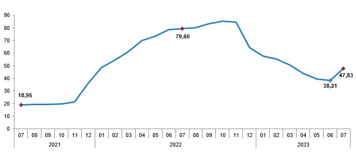 TÜFE Yıllık Değişim Oranları (%), Temmuz 2023