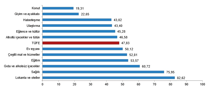 TÜFE Ana Harcama Gruplarına Göre Yıllık Değişim Oranları (%), Temmuz 2023