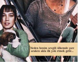 AK Parti’nin sokak hayvanlarının uyutulmasını içeren yasa teklifi bir çok