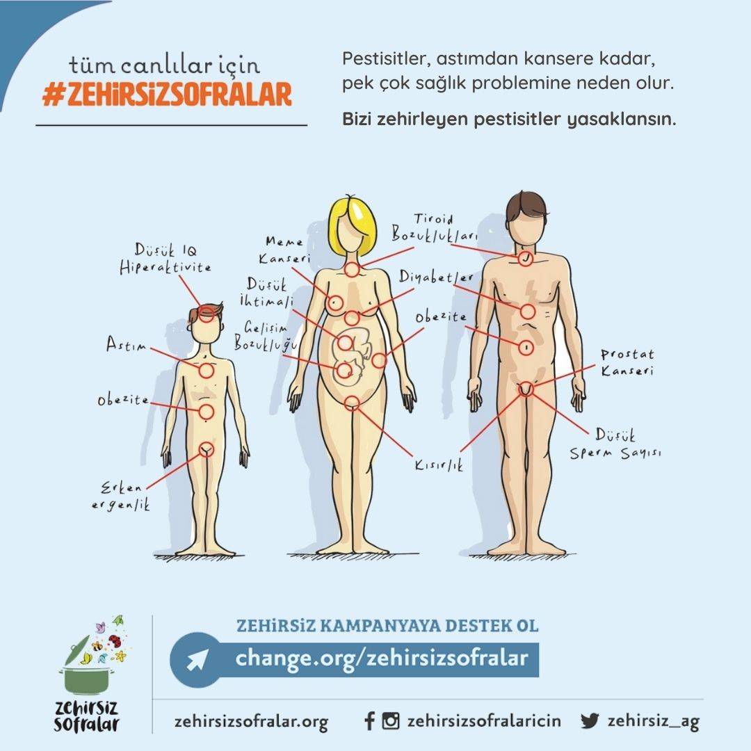 Hem insan sağlığı hem de ekosistem üzerinde geri dönüşü zor