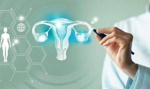 Jinekolojik içinde ehemmiyetli bir yer kaplayan uterus, serviks ve yumurtalık