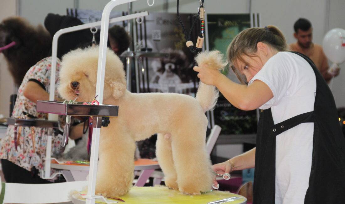 Türkiye’nin en büyük pet fuarı olma özelliğini taşıyan 9. Uluslararası